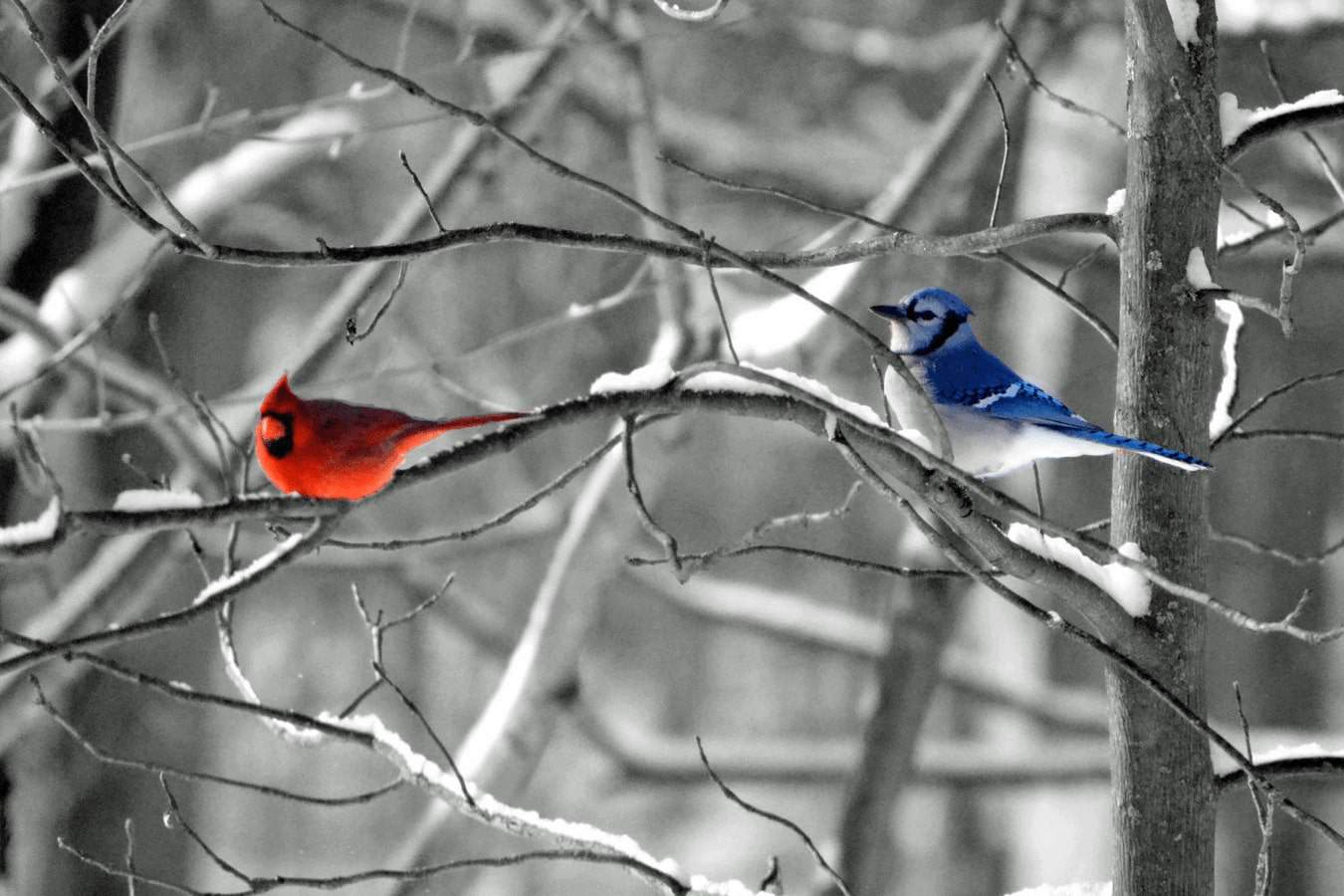 Accepting-cultivating-autistic-talent-–-insights-from-a-writer-with-autism