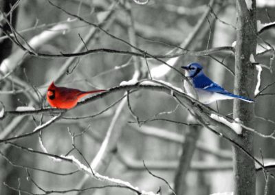 Accepting & cultivating autistic talent – insights from a writer with autism