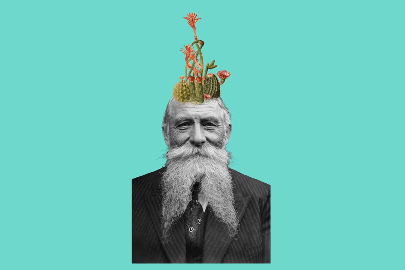 Cactus coming from old man's head.