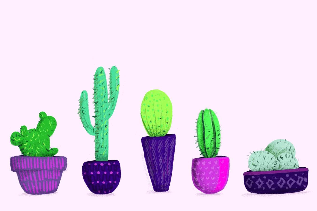 Cactus illustrations.