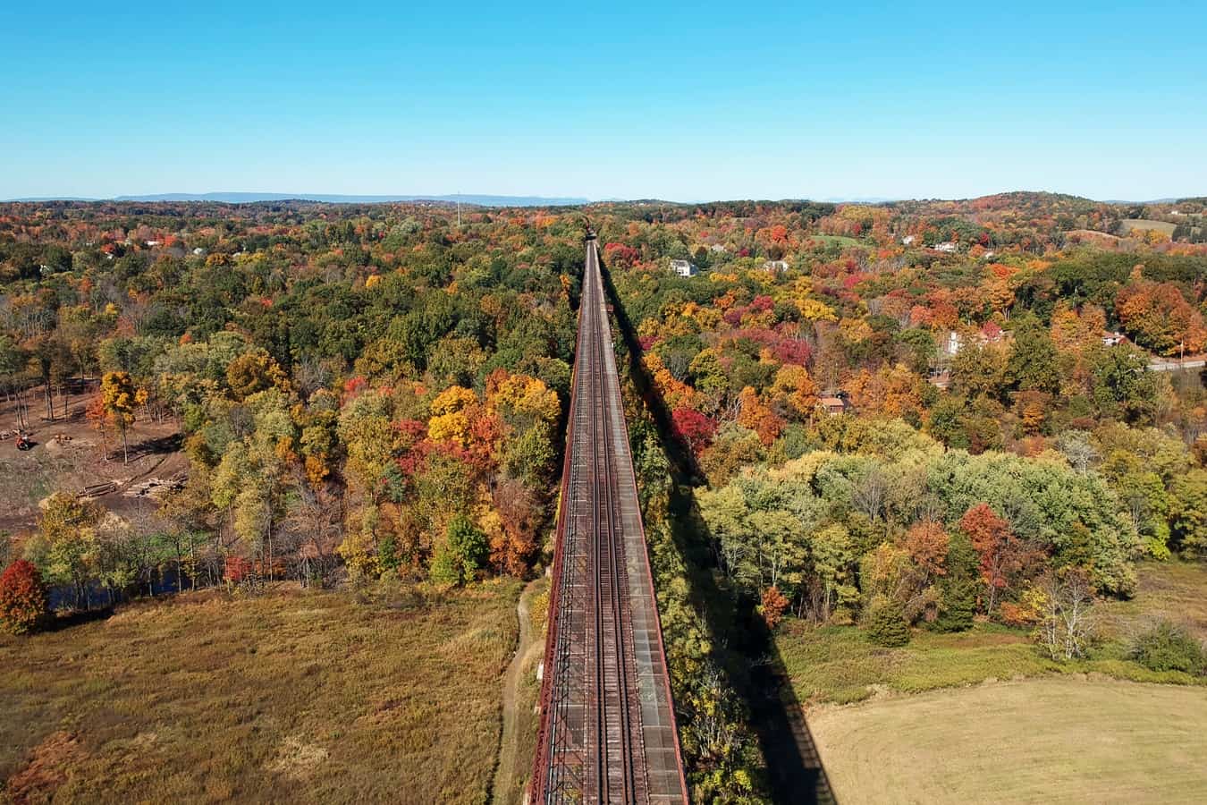 Railway going through woods.