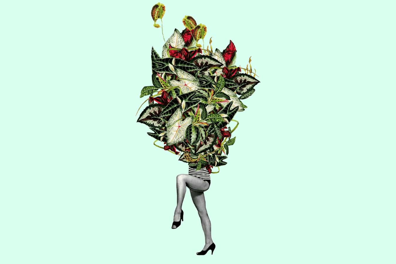 Avante Garde illustration.