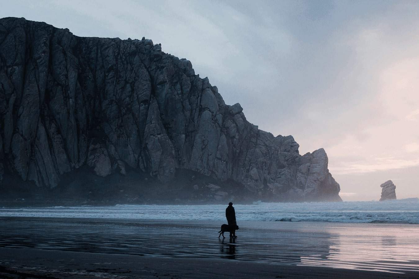 Landscape of beach with person and dog.