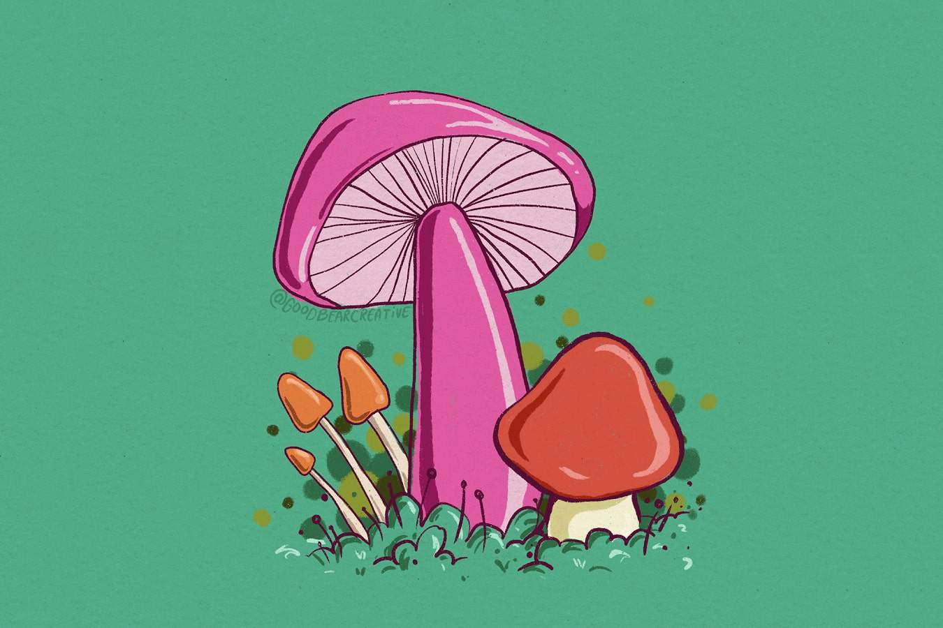 Mushrooms illustration.