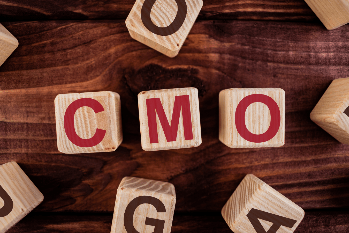 Blocks that spell out CMO: interim and fractional CMO roles are on the rise.