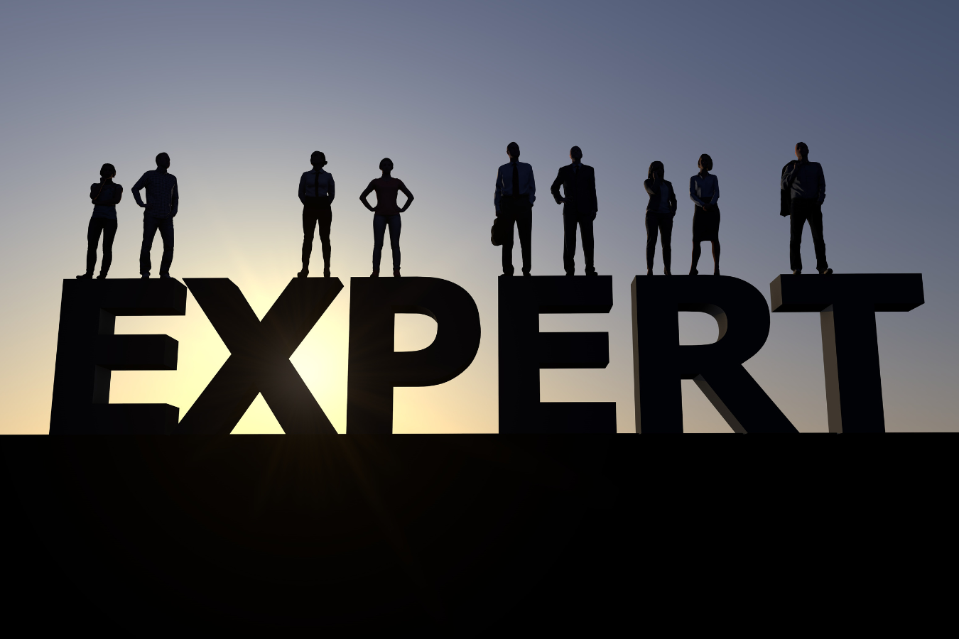Expert word in shadow with professional people also in shadow.