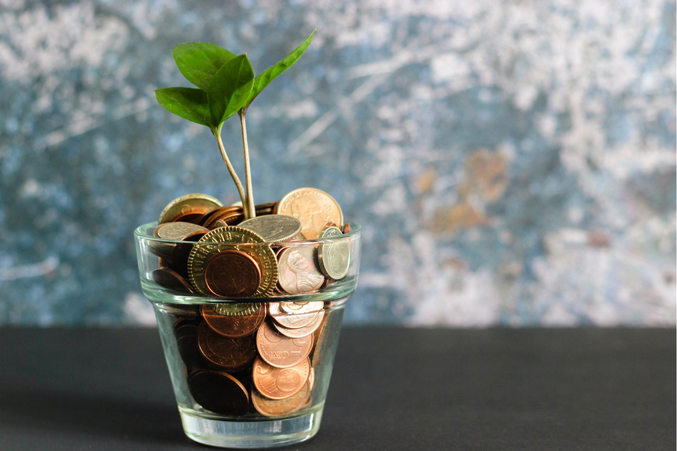 glass vase with coins and plant to represent financial literacy and growth